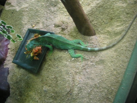 s_A_PICT0052.jpg